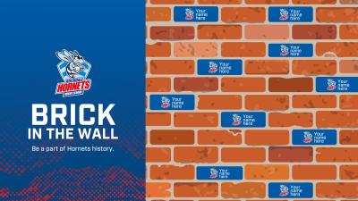 ‘Brick in the Wall’ campaign launched